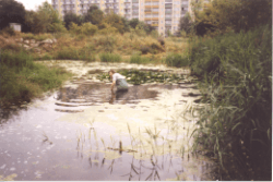 Migs Garten